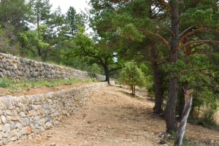Mur en Pierres seches de Provence